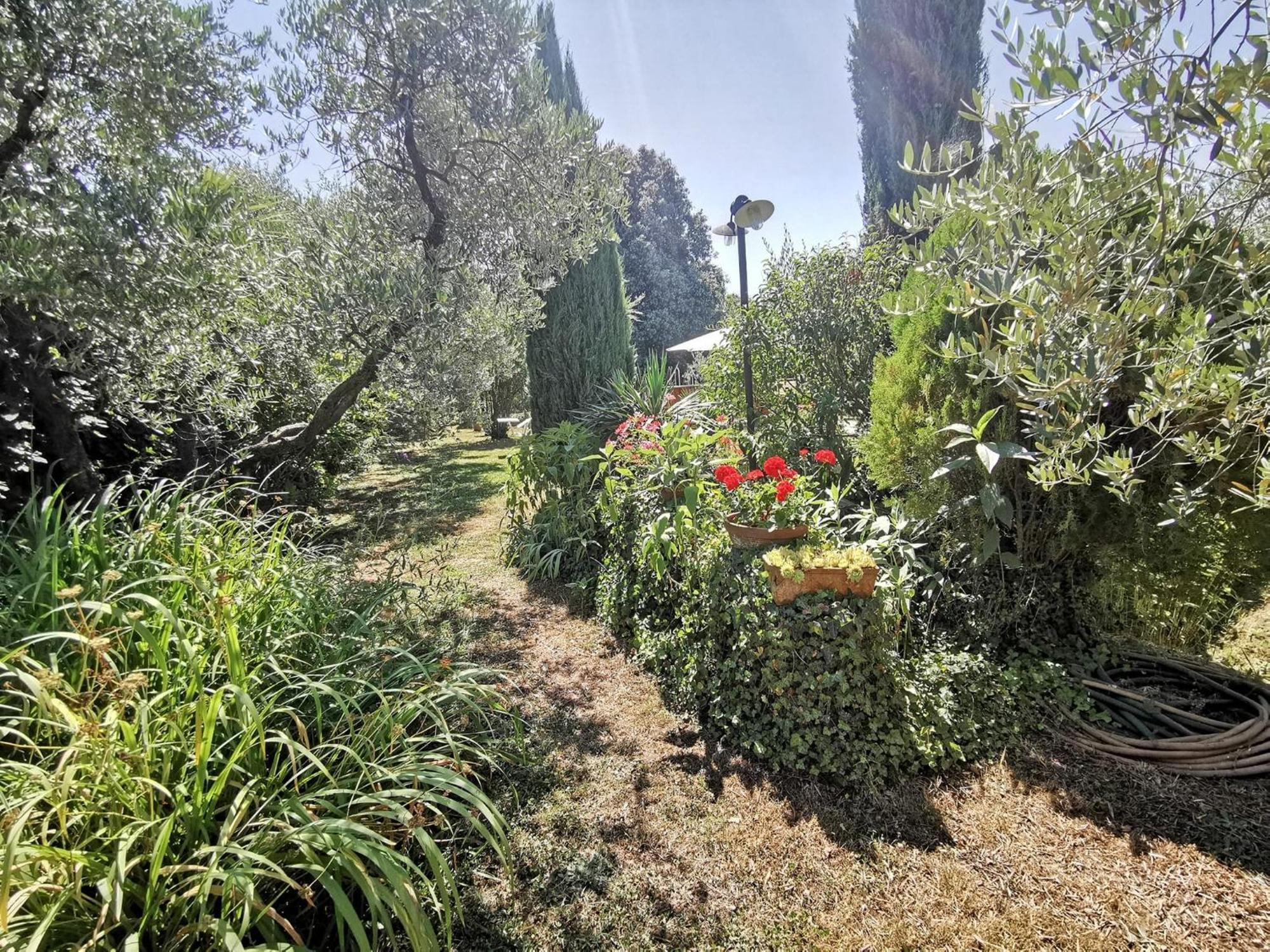 La Casa Dei Nonni Villa Larciano Eksteriør bilde